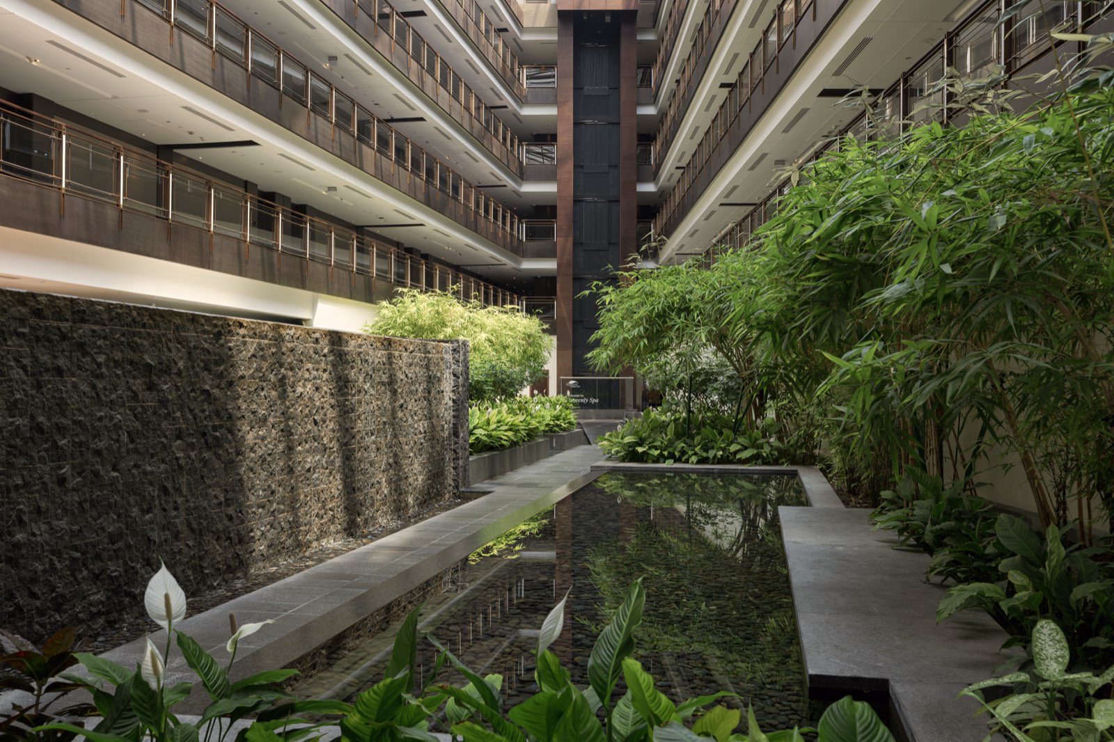 The Westin Doha content 6